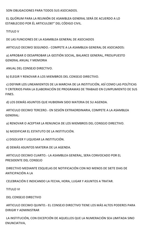 Modelo de minuta para ONG